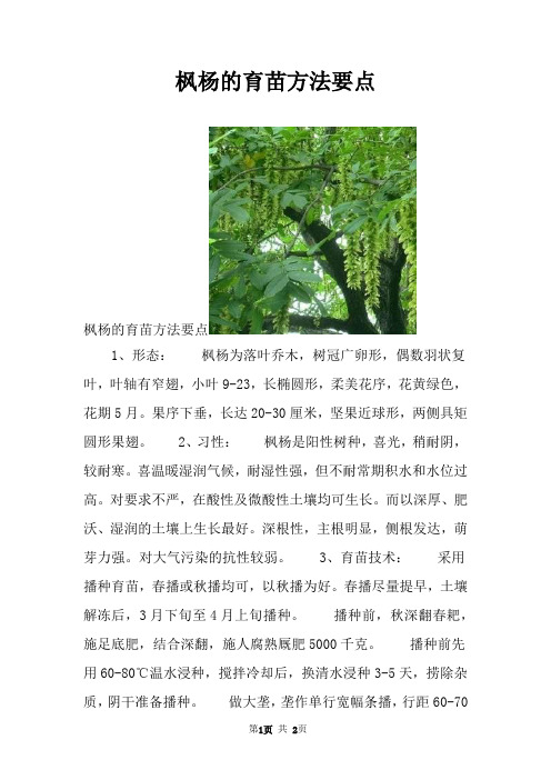 枫杨的育苗方法要点