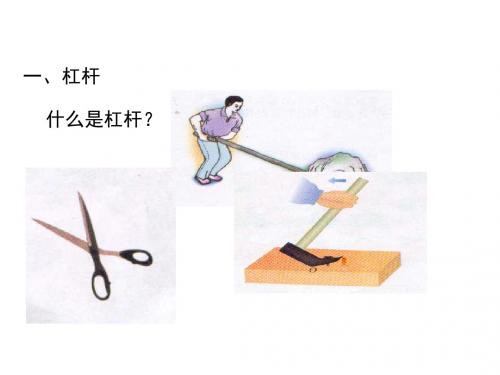 《杠杆》教学课件75 人教版