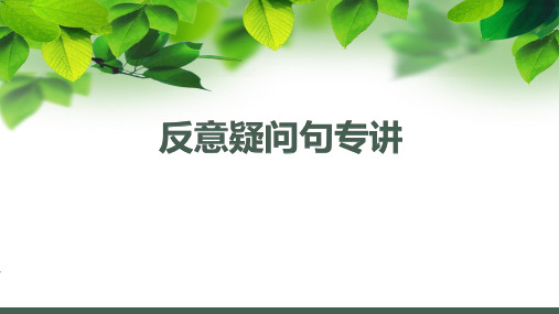 高考英语总复习之反义疑问句(共28页PPT)(共28张PPT)