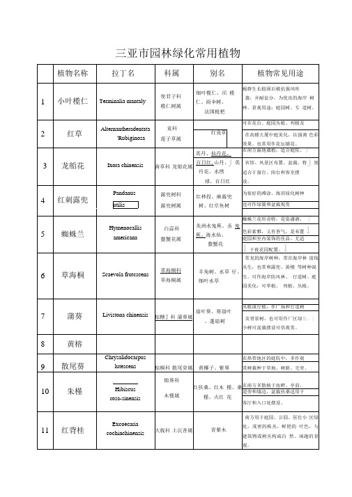 海南常见园林植物