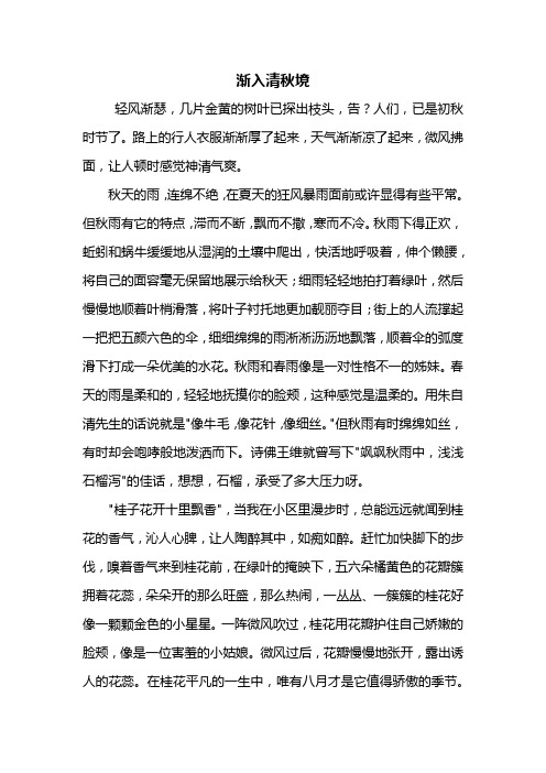 初二作文：渐入清秋境作文800字