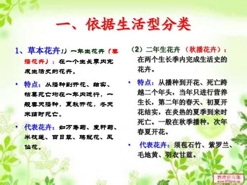 一、依据生活型分