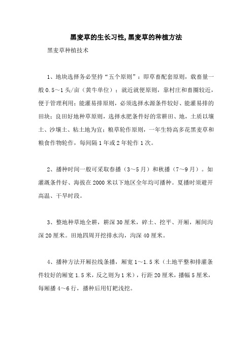黑麦草的生长习性,黑麦草的种植方法