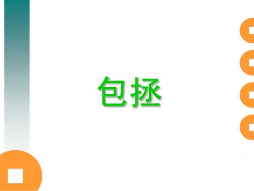 包拯总复习ppt课件