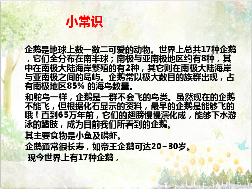 六年级语文下册西师大版教学10《企鹅爸爸》