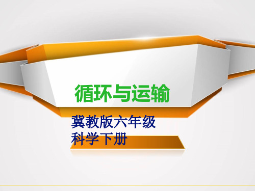 冀人版六年级科学下册《奇妙的人体  7 循环与运输》课件_0