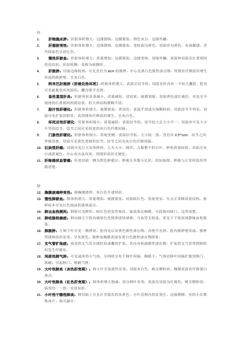 病理大体描述