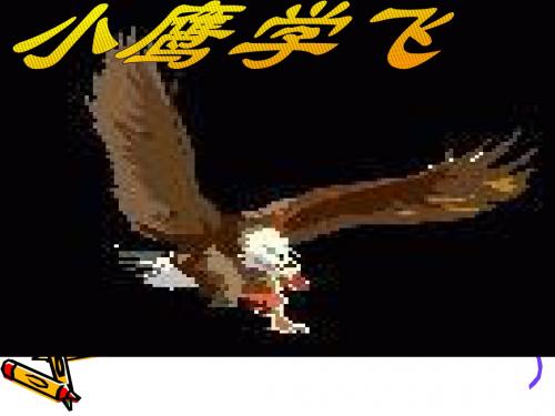 8小鹰学飞ppt
