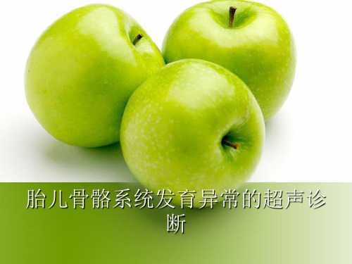 胎儿骨骼系统发育异常的超声诊断ppt课件