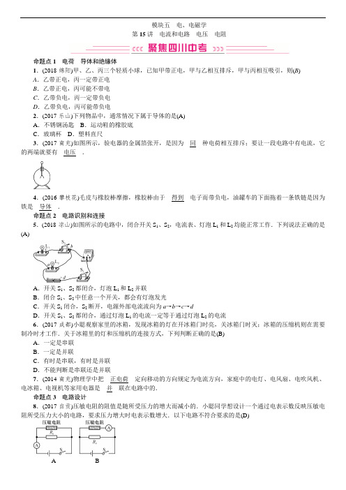 中考物理 第15讲 电流和电路 电压 电阻含答案