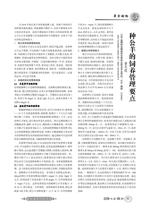 种公羊的饲养管理要点