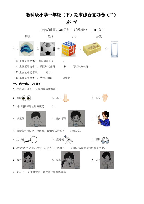 【期末卷】教科版小学一年级科学(下)期末综合复习卷(二)含答案