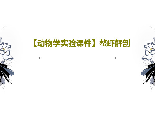 【动物学实验课件】螯虾解剖52页PPT