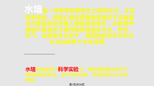 水培试验PPT课件