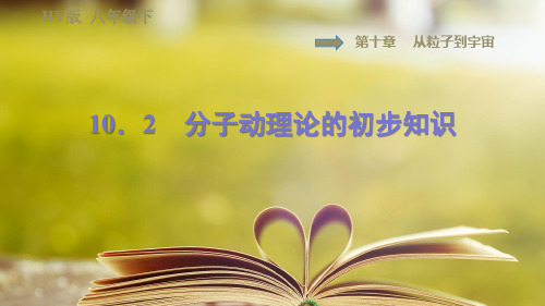 沪粤版物理八年级下册第十章10.2分子动理论的初步知识