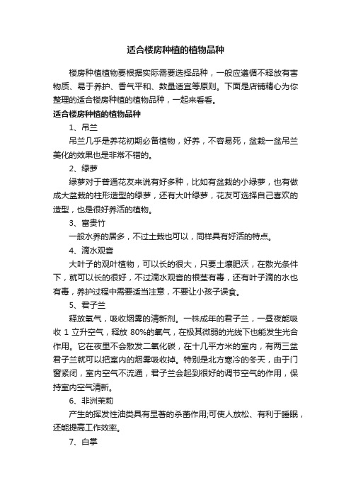 适合楼房种植的植物品种