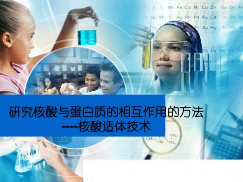 核酸适体技术