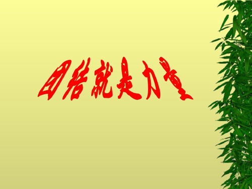 团结就是力量湘教版七年级上册_2课件