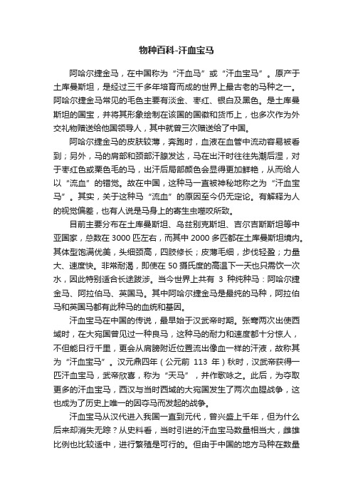 物种百科-汗血宝马