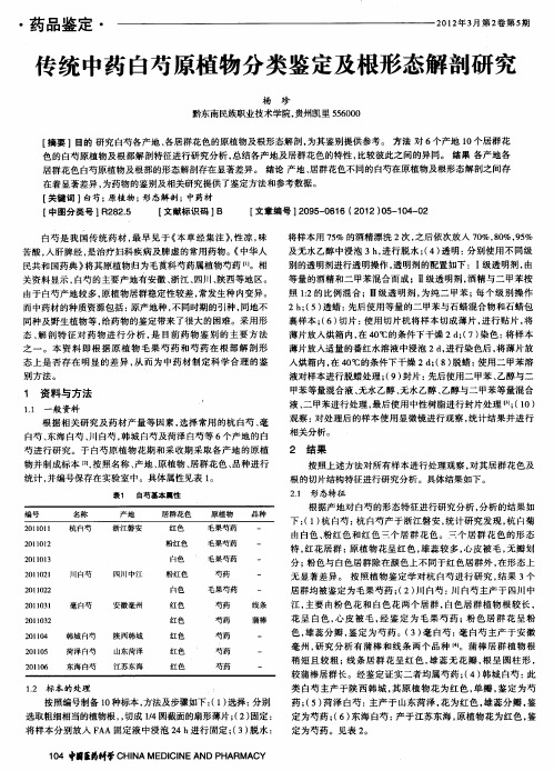 传统中药白芍原植物分类鉴定及根形态解剖研究