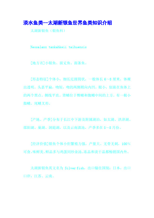 淡水鱼类--太湖新银鱼世界鱼类知识介绍