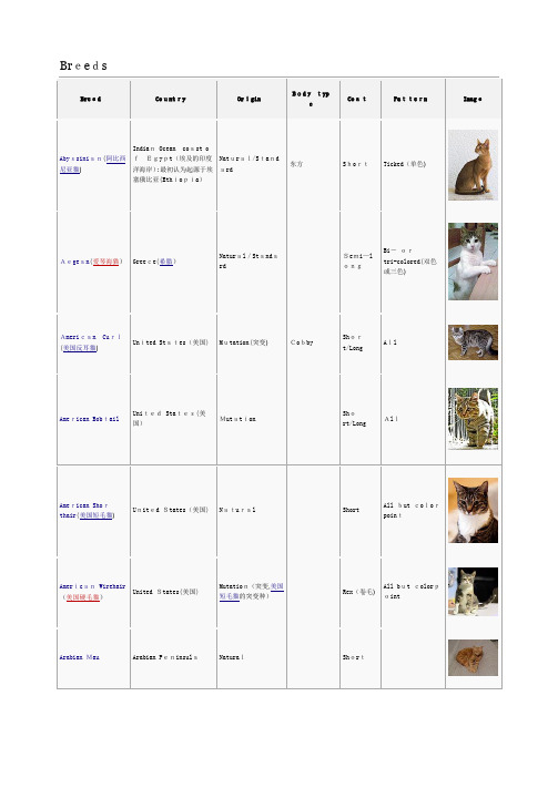 猫的品种列表【范本模板】