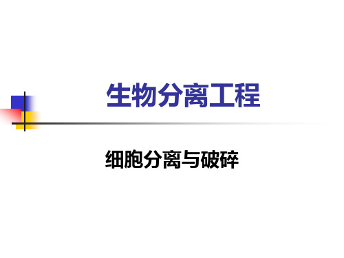 生物分离工程 细胞分离与破碎