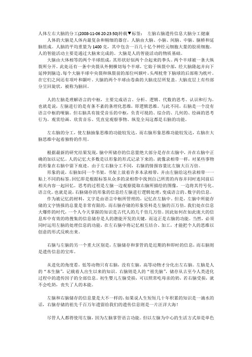 人体左右大脑的分工