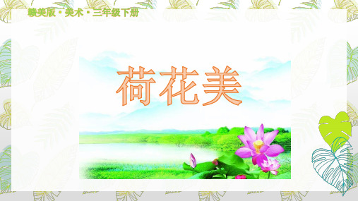 《荷花美》赣美版（江西版）小学三年级下册美术（第六册）教学课件 (5)