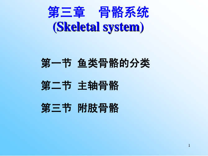 鱼类学：第三章  骨骼系统