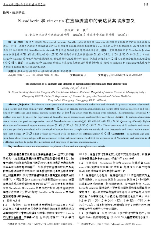 N-cadherin和vim entin在直肠腺癌中的表达及其临床意义