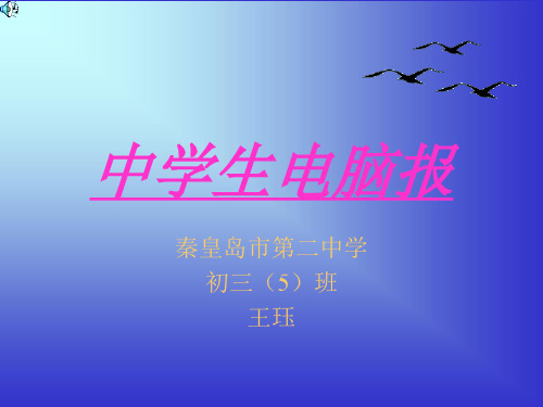 中学生电脑报(精)