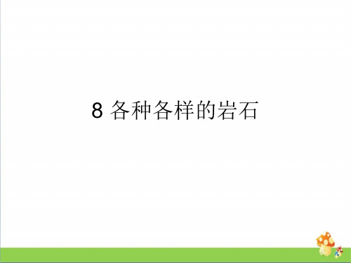 粤教版四年级上册科学2.8各种各样的岩石教学课件
