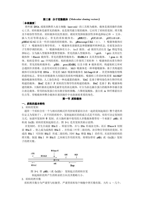 第三章  分子克隆载体(Molecular cloning vectors)
