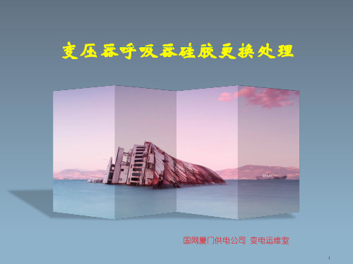 变压器呼吸器硅胶