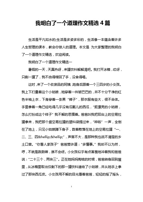 我明白了一个道理作文精选4篇