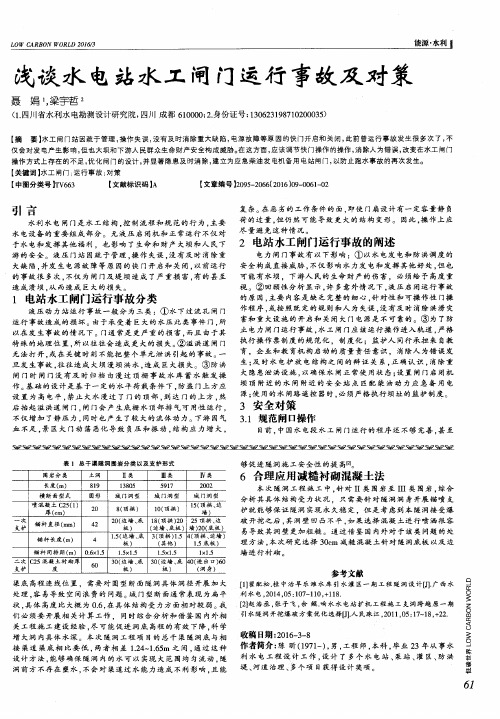 浅谈水电站水工闸门运行事故及对策