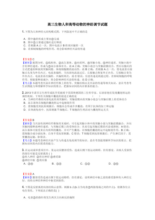 高三生物人和高等动物的神经调节试题
