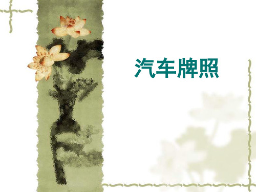 汽车牌照-汽车牌照资料文档