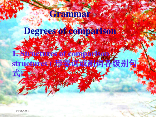 高中英语module5alessoninalabgrammarandusage