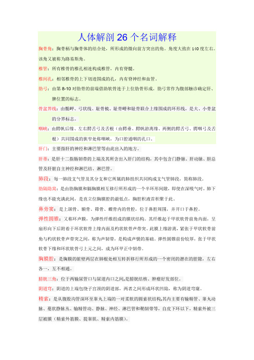 人体解剖26名词解释