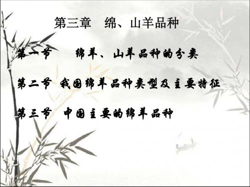 绵、山羊品种 PPT课件