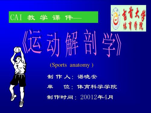 13第十章    心血管系统