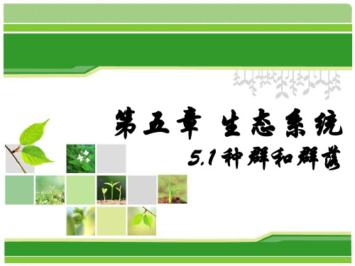 华师大科学七下5.1-种群和群落PPT优秀课件