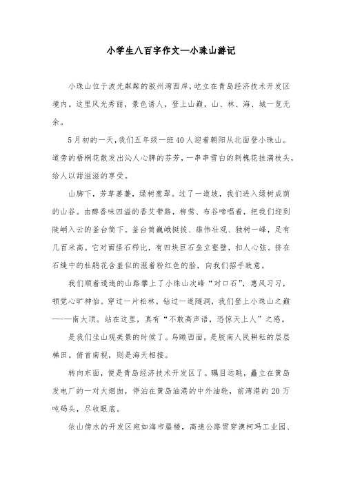 小学生八百字作文—小珠山游记