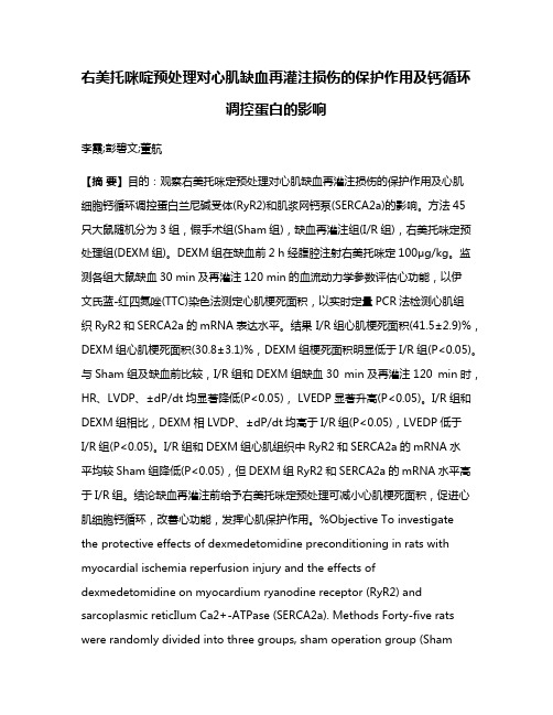 右美托咪啶预处理对心肌缺血再灌注损伤的保护作用及钙循环调控蛋白的影响