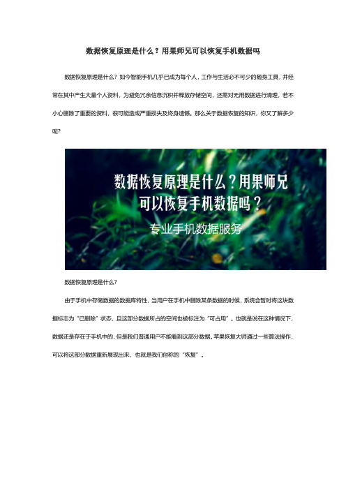 数据恢复原理是什么？用果师兄可以恢复手机数据吗