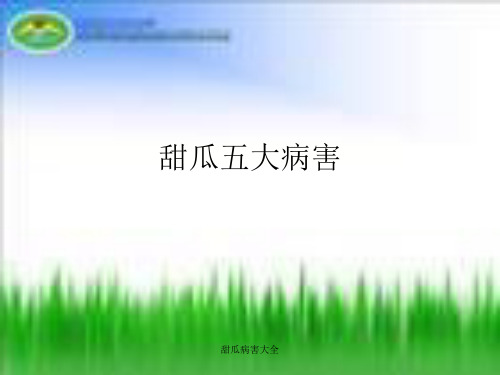 甜瓜病害大全 ppt课件