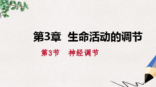 八年级科学上册 第3章 生命活动的调节 3.3 神经调节 3.3.1 神经调节的基本过程练习课件 (新版)浙教版
