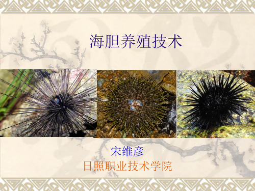 海胆养殖技术生物学特性(精)